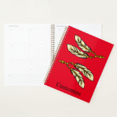 Apache Feathers Thunder_Cove Planer (Anzeige)