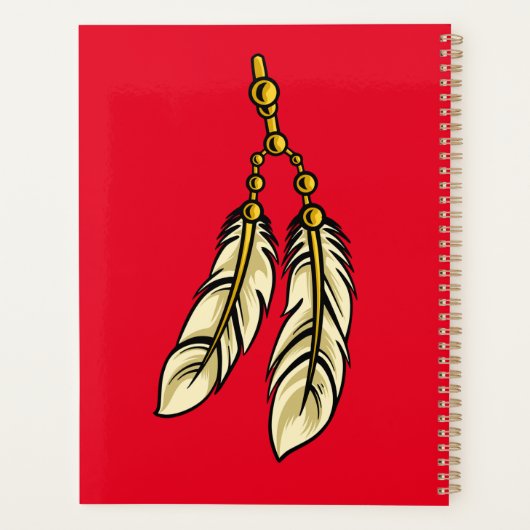 Apache Feathers Thunder_Cove Planer (Rückseite)