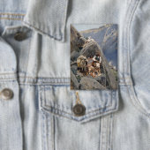 Apache-Krieger: Hinterhalt in der amerikanischen K Button (Insitu)