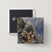 Apache-Krieger: Hinterhalt in der amerikanischen K Button (Vorne & Hinten)