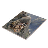 Apache-Krieger: Hinterhalt in der amerikanischen K Fliese (Seite)