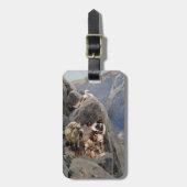 Apache-Krieger: Hinterhalt in der amerikanischen K Gepäckanhänger (Vorderseite vertikal)