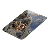 Apache-Krieger: Hinterhalt in der amerikanischen K Magnet (Linke Seite)