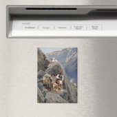 Apache-Krieger: Hinterhalt in der amerikanischen K Magnet (In Situ (Geschirrspüler))