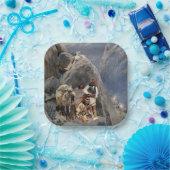 Apache-Krieger: Hinterhalt in der amerikanischen K Pappteller (Party)