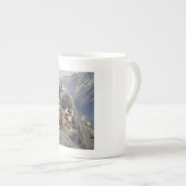 Apache-Krieger: Hinterhalt in der amerikanischen K Porzellantasse (Vorderseite Rechts)