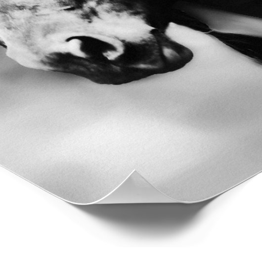 Apache Poster (Ecke)