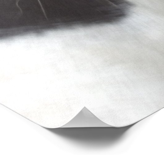 Apache Sinti und Roma Vanner Cob Poster (Ecke)