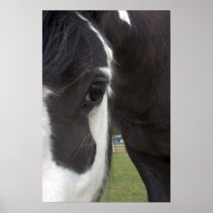 Apache Sinti und Roma Vanner Cob Poster