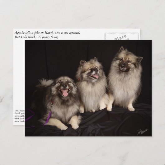 Apache Tells a Joke Postcard Postkarte (Vorne/Hinten)