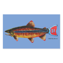 Apache Trout Tasse