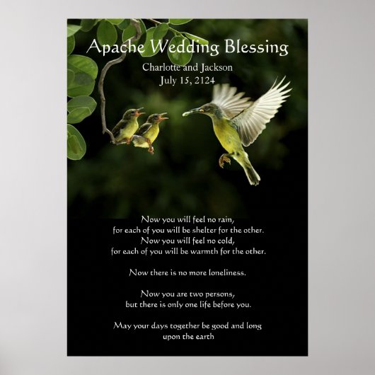 Apache Wedding Segen Hummingbird fütternd Babys Poster (Vorne)