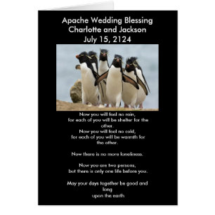 Apache Wedding Sessing Pinguine