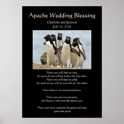 Apache Wedding Sessing Pinguine Poster (Vorne)