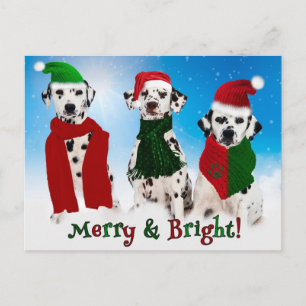 APAL - Christmas Dalmatian Dogs Feiertagspostkarte