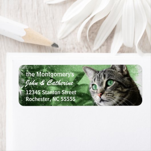 APAL - Silver Tabby Cat mit saisonaler Green (Insitu)