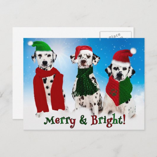 APAL - WeihnachtsDalmatiner-Hunde Feiertagspostkarte (Vorne/Hinten)