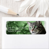 APAL - Weihnachtssilber Tabby Cat (Insitu)