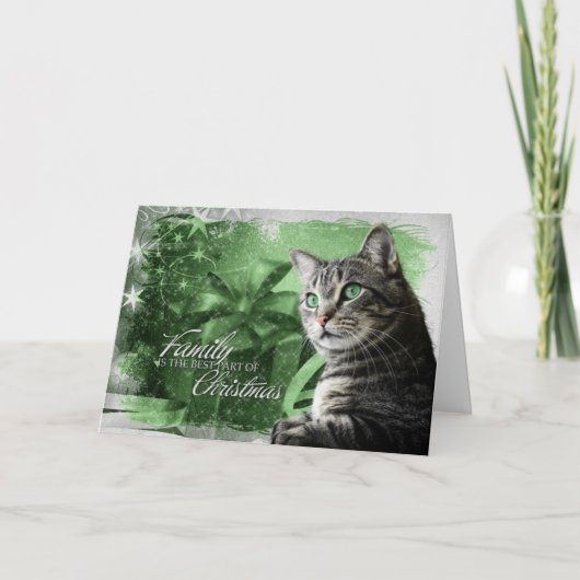 APAL - Weihnachtssilberne Tabby-Katze Feiertagskarte (Vorderseite)