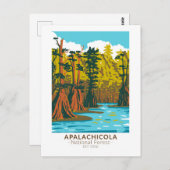 Apalachicola National Forest Baldcypress Tree Postkarte (Vorne/Hinten)