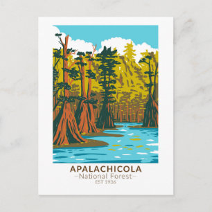 Apalachicola National Forest Baldcypress Tree Postkarte