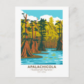 Apalachicola National Forest Baldcypress Tree Postkarte (Vorderseite)
