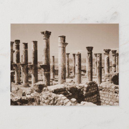 Apamea Postkarte (Vorderseite)