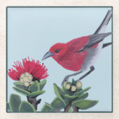 Apapane & Lehua Blossom Hawaii Nature Illustration Glasuntersetzer (Vorderseite)