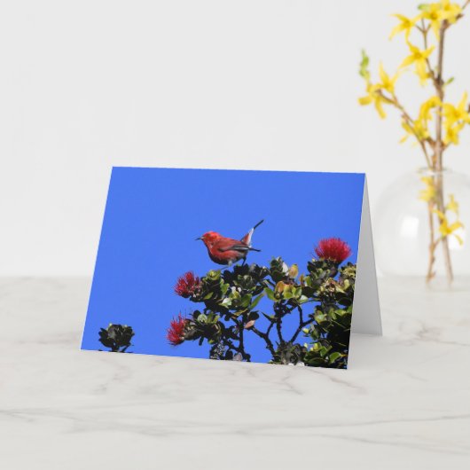 "Apapane Small Red Bird Karte (Gelbe Blume)