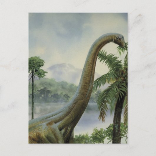 Apatosaurus (Brontosaurus) essen Illustration Postkarte (Vorderseite)