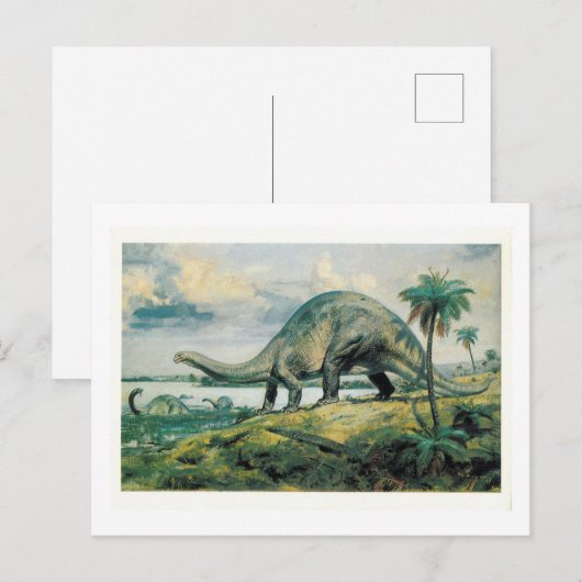 Apatosaurus Excelsus (Brontosaurus) Postkarte (Vorne/Hinten)