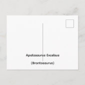 Apatosaurus Excelsus (Brontosaurus) Postkarte (Rückseite)