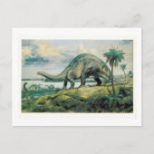 Apatosaurus Excelsus (Brontosaurus) Postkarte (Vorderseite)