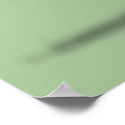 Apatosaurus Poster (Ecke)