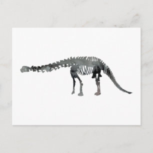 Apatosaurus-Skelett Postkarte