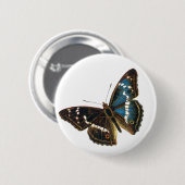 Apatura iris male button (Vorne & Hinten)