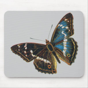 Apatura iris male mousepad