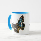 Apatura iris male tasse (Vorderseite Links)