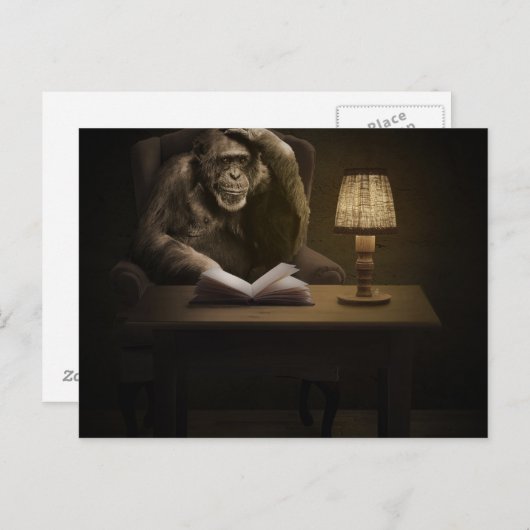Ape Chimpanzee Monkey Postkarte (Vorne/Hinten)