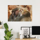 Ape gekümmert poster (Heimbüro)