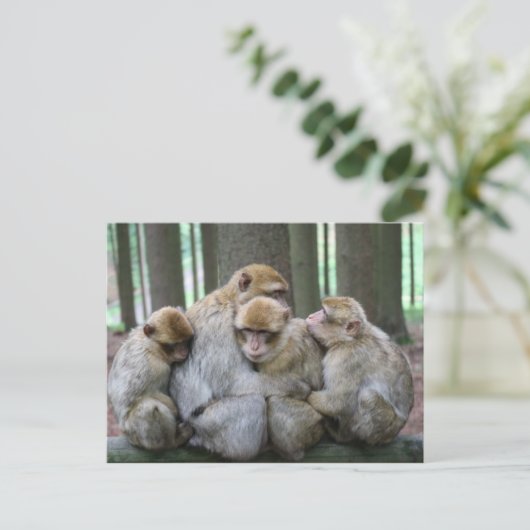 Ape Group Hug Postkarte (Stehend Vorderseite)