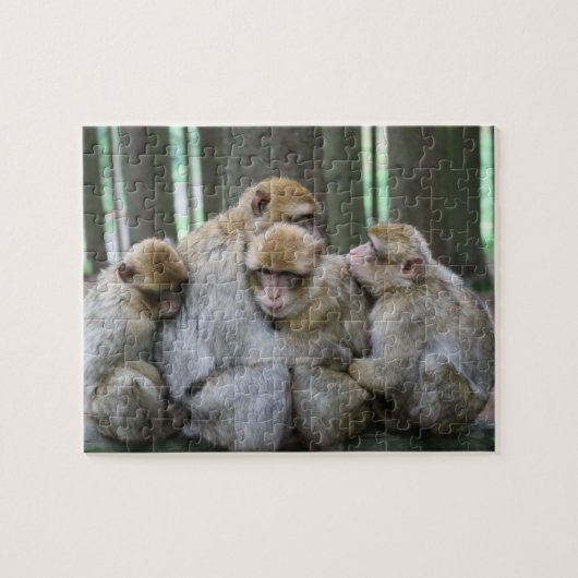 Ape Group Hug Puzzle (Horizontal)