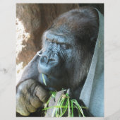 Ape Kapuze ~ Japanischer Gorilla Eating Flyer (Hinten)