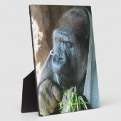 Ape Kapuze ~ Japanischer Gorilla Eating Fotoplatte (Seite)