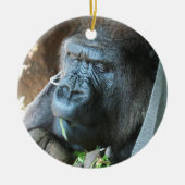 Ape Kapuze ~ Japanischer Gorilla Eating Keramik Ornament (Vorne)