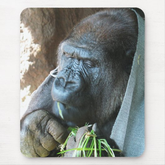 Ape Kapuze ~ Japanischer Gorilla Eating Mousepad (Vorne)