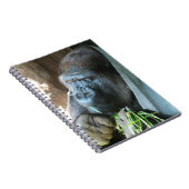 Ape Kapuze ~ Japanischer Gorilla Eating Notizblock (Rechte Seite)