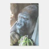 Ape Kapuze ~ Japanischer Gorilla Eating Post-it Klebezettel (Vorderseite)