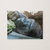 Ape Kapuze ~ Japanischer Gorilla Eating Puzzle (Horizontal)