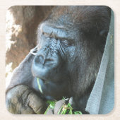 Ape Kapuze ~ Japanischer Gorilla Eating Rechteckiger Pappuntersetzer (Vorderseite)